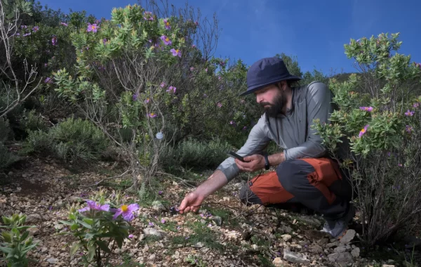 CIDE_CambioMicroclimático_4